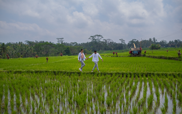 Puri Wulandari a Boutique Resort and Spa