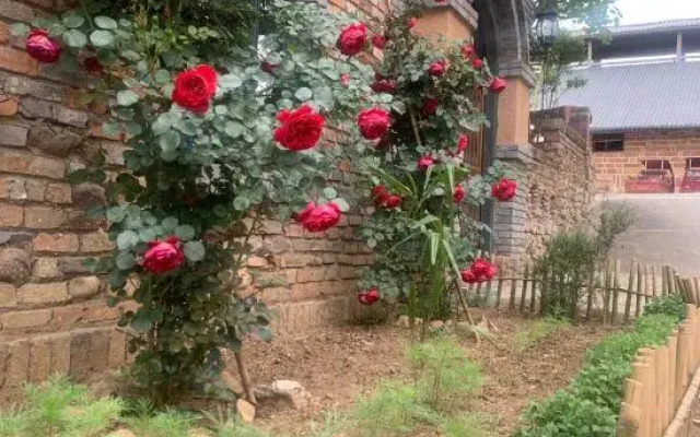 Shaxi Grain B&B Featured Homestay