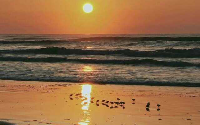 Narita Airport Samurai Hostel