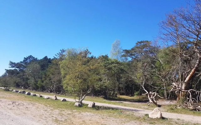 5 Star Holiday Home in Liseleje