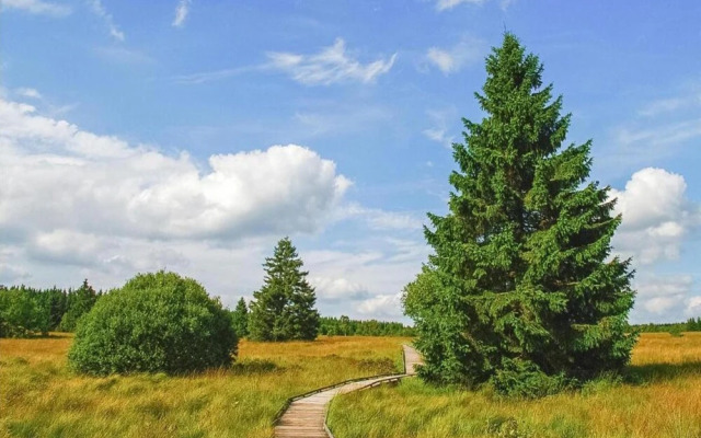 Apartment in Brussels Near European Parliament