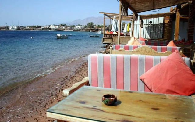Hotel Planet Oasis