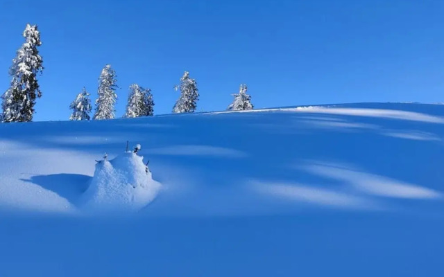 Holiday Apartment The Neuhaus