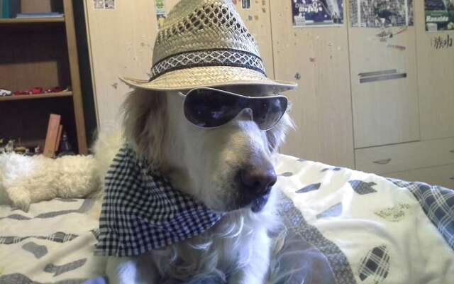 Casa Annick Holiday Home Chianti Area Florence