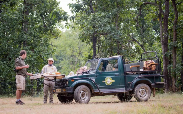 Pugdundee Safaris- Tree House Hideaway