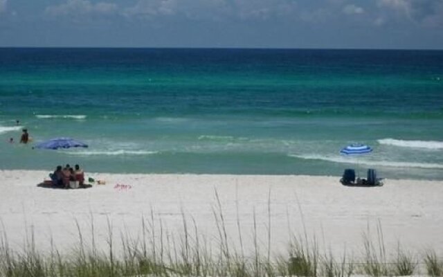 Dolphin Run by Blue Sun