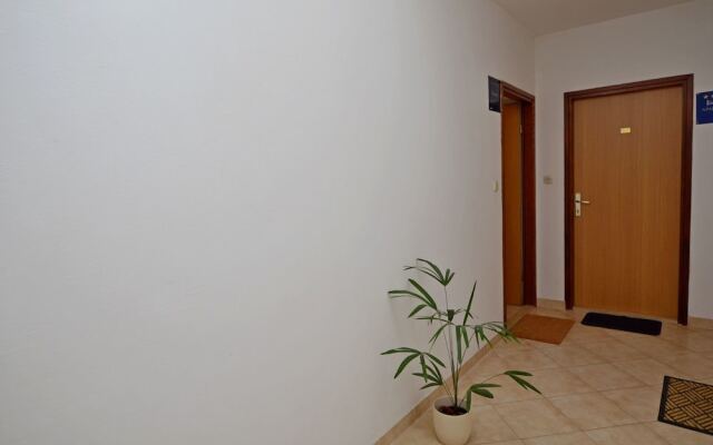 Apartment Vedrana