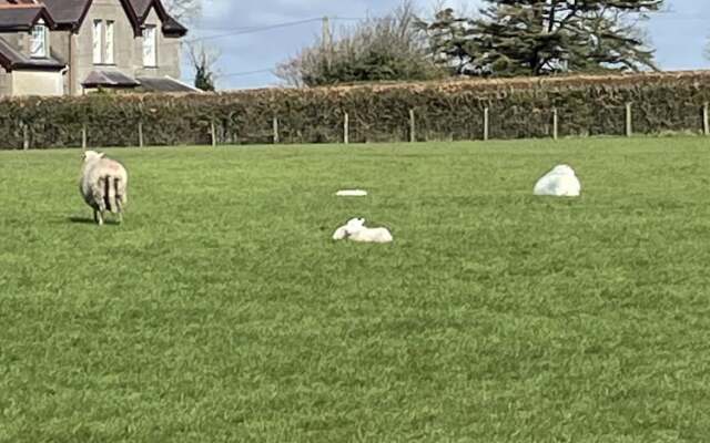 Lovely 3-bed Apartment nr Caernarfon