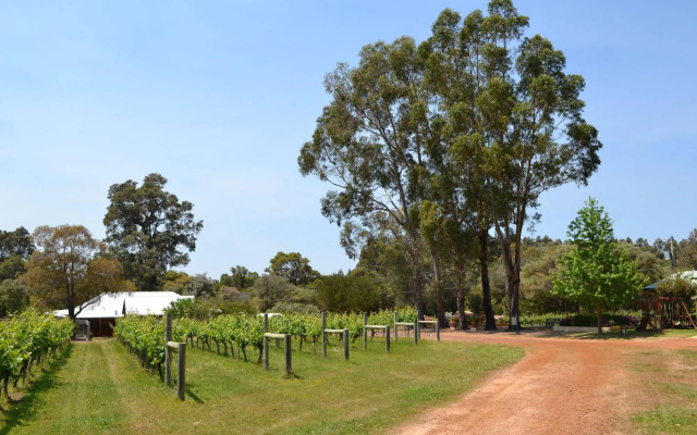 Island Brook Estate Vineyard and Chalets