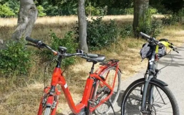 Holiday Home "schwedenhaus Bad Tabarz"