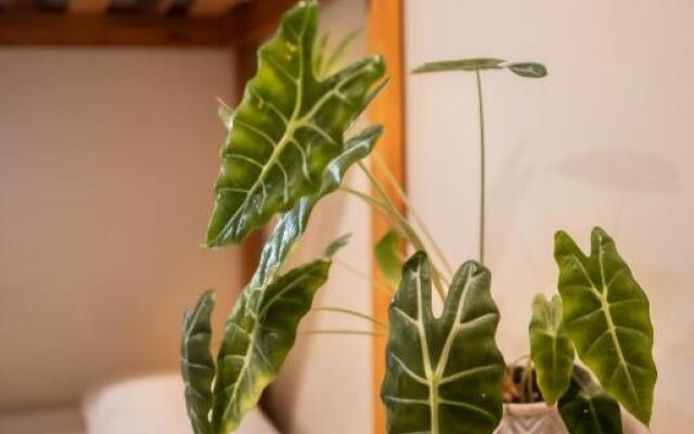 Mecate Hostel by Xibalba