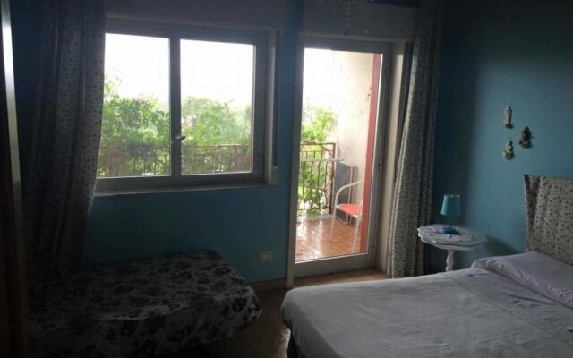B&B Xenia