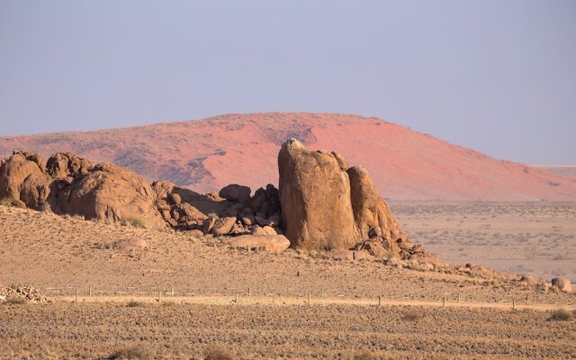Desert Quiver Camp