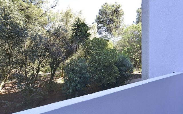 Tropical View Apartment