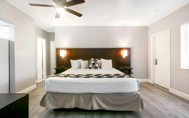 Hollywood Beach Hotels