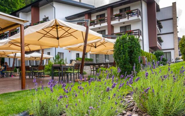 Piatra Pinului Ski Hotel & SPA