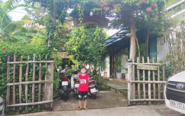 Bebe Homestay Phu Quoc