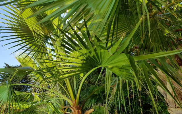 Villa Bambou Piscine Chauffée
