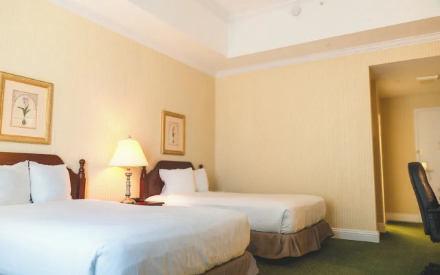 The Casablanca Hotel