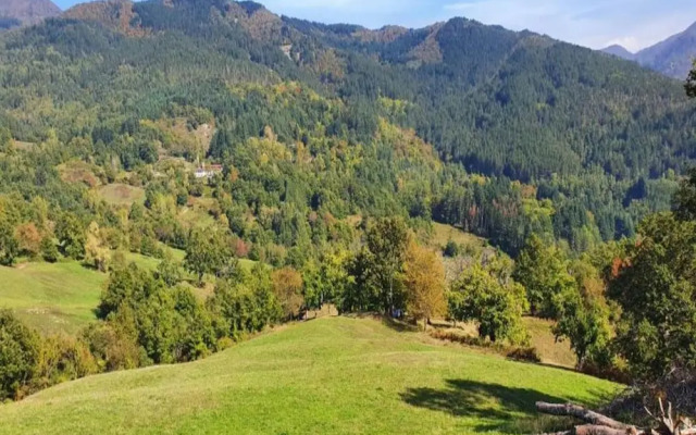 Holiday Home in Ortignano