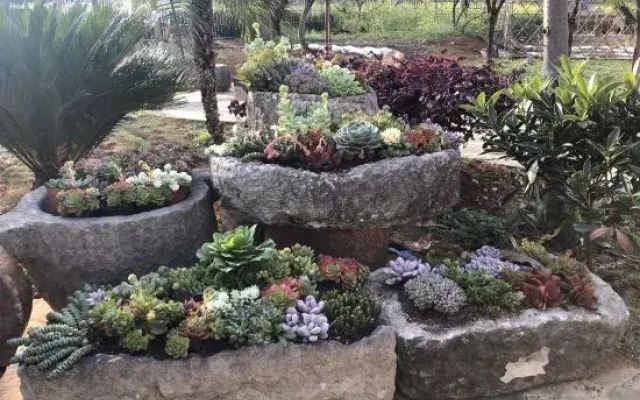 Xingyi Pinfengmingshuwanfeng