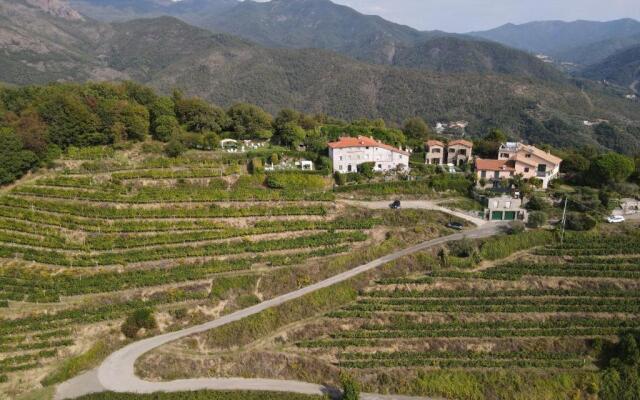 Casale In Vigna, CinqueTerreCoast