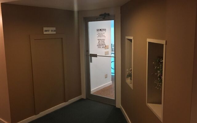 Tälta Lodge, A Bluebird by Lark