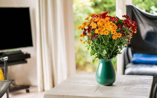 Cozy Chalet in Stegeren With Swimming Pool