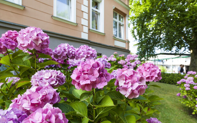 Ostseehotel Villen Im Park – ein Rovell Hotel
