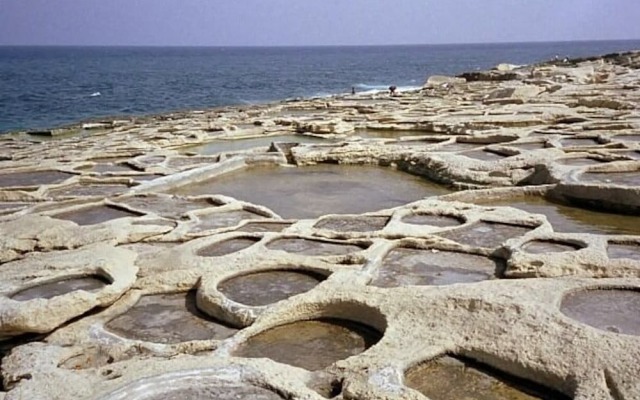 Mediterranea