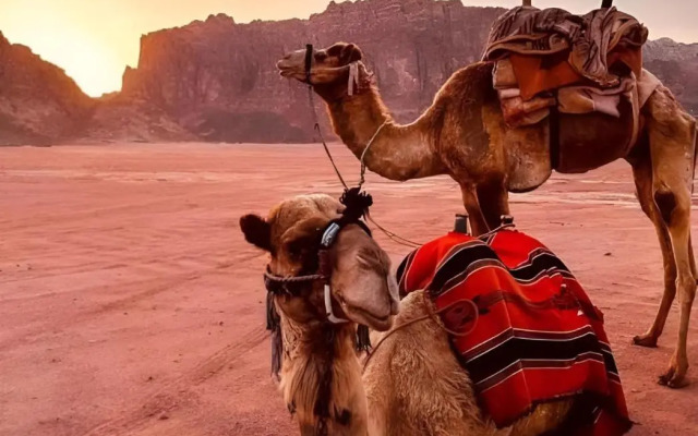 Wadi Rum W18hite Mountain Camp