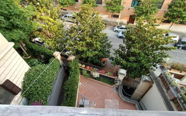 Colosseo Kokedama rooms