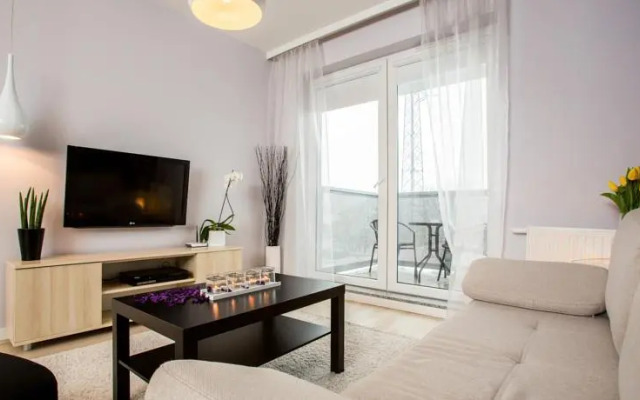 Mojito Apartments - Plum