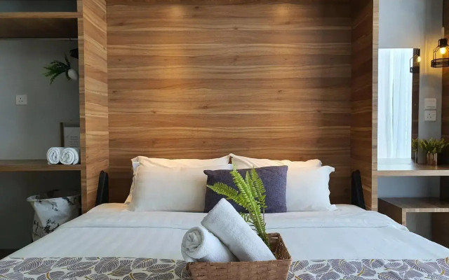 Aeropod Studio- Laxzone Suite