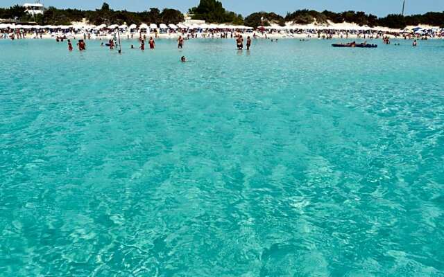 Salenterra B&B (Salento)