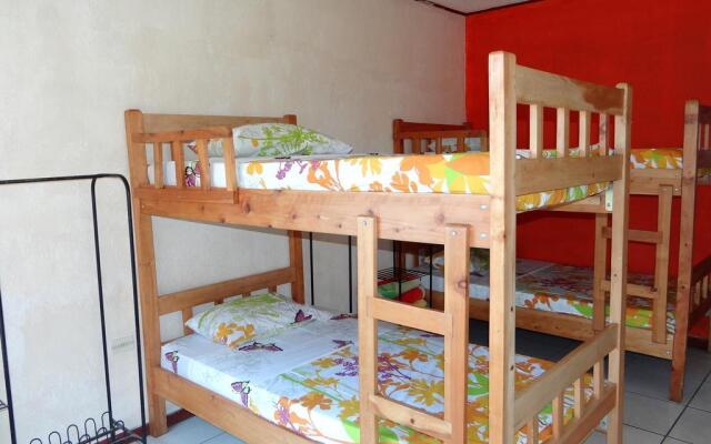 Monteverde Coati & Sloth Studios Apartments