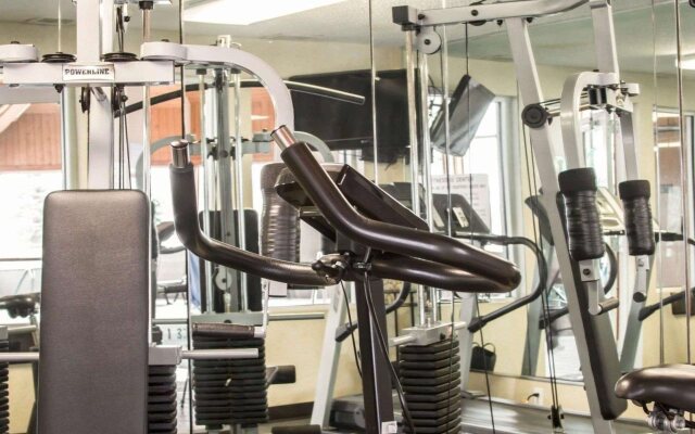 Comfort Inn & Suites Diamondale – Lansing