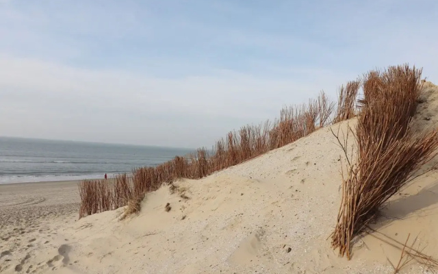 Holiday Home in Ameland by Golf Course