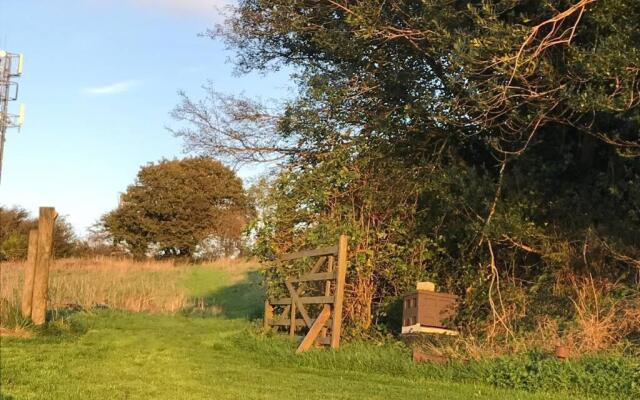 Stags View,Unique eco cabin, Dartmoor views
