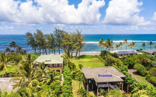Hale Koaniani - 3 Br Home
