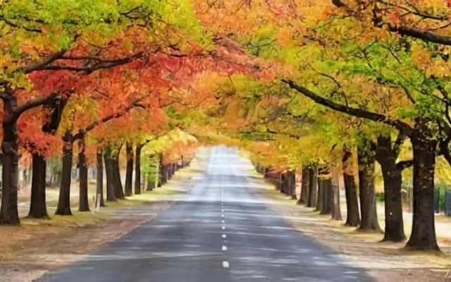 Circa Red London Daylesford