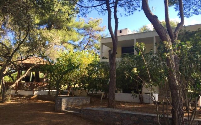 Apartment With in Drossia Chalkis With Wonderful sea View