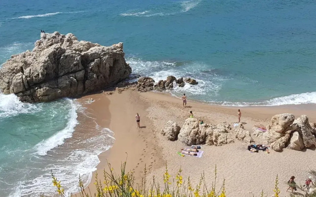 Mediterraneo Marbella