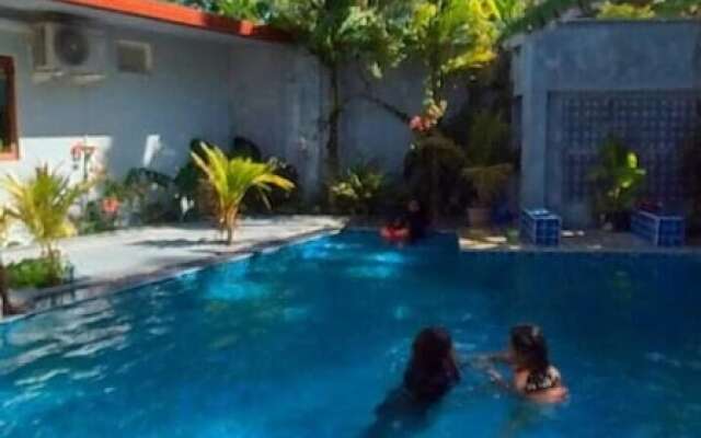 Tiger Shark Residence