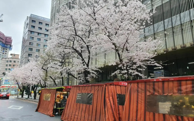 Busan Business Hotel
