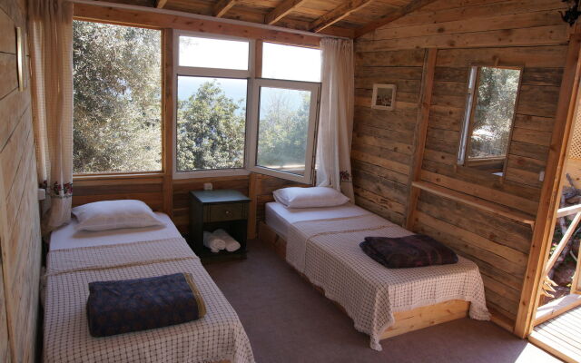Shiva Camp