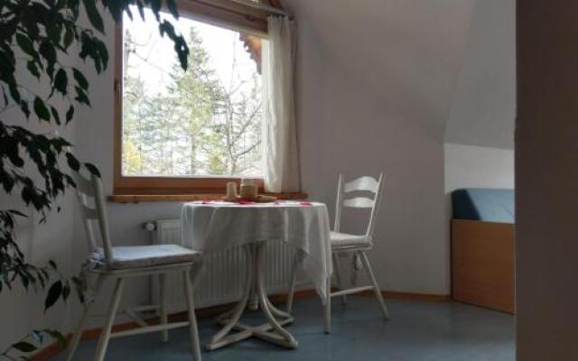 Apartamencik z Widokiem Na Giewont
