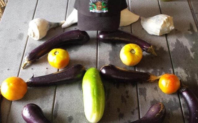 RelaxInn Bed & Breakfast