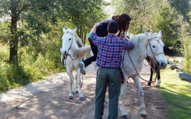 Morada La Silvestre Cabañas