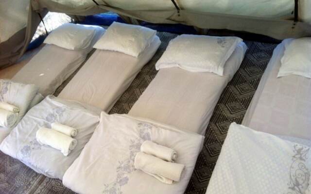 Desert Camping Israel - Hostel